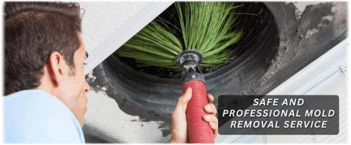 Air Duct Mold Removal in Irving TX