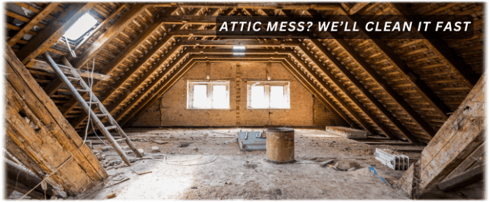 Attic Cleaning Irving TX