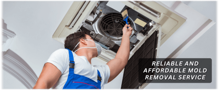 HVAC Mold Removal Irving TX